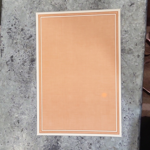 Disneyland Placemat - Picture 7 of 8